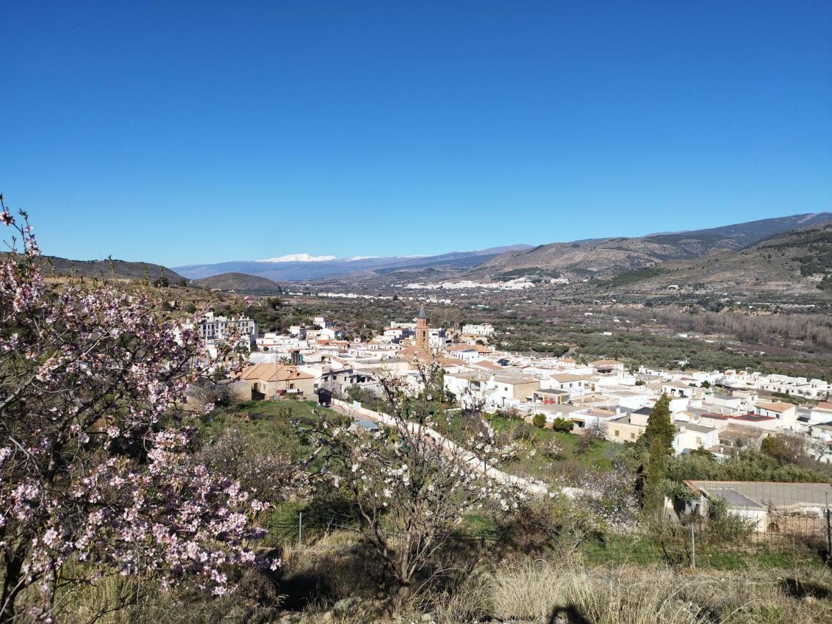 Los Olivos De Fondón Екстериор снимка